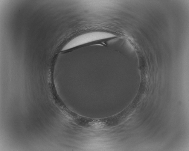 X0000070250689200606161912