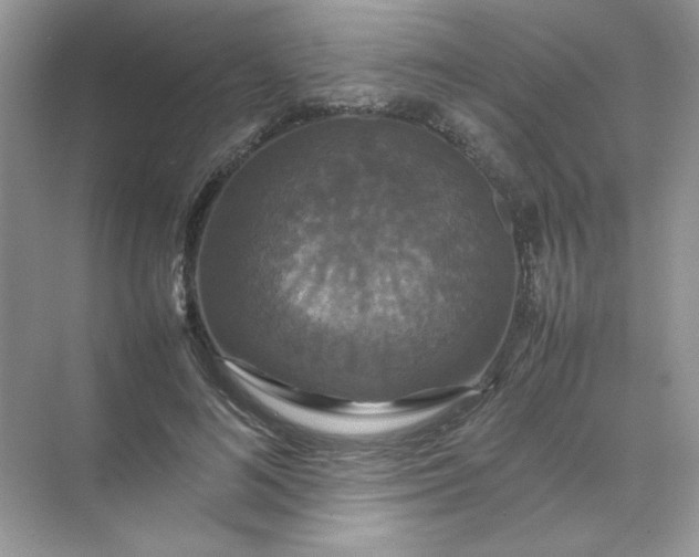 X0000070250692200606161912