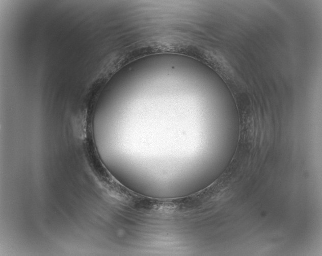 X0000070250694200606161912