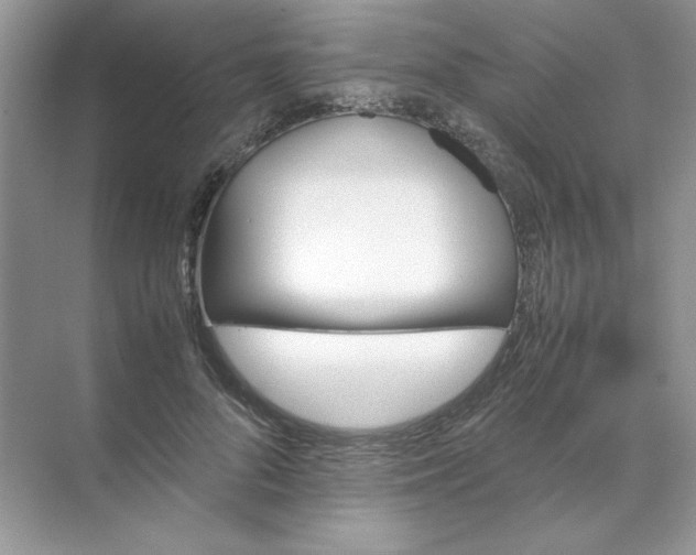 X0000070250696200606161912