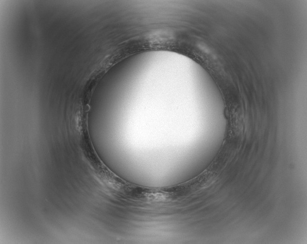X0000070250698200606161912