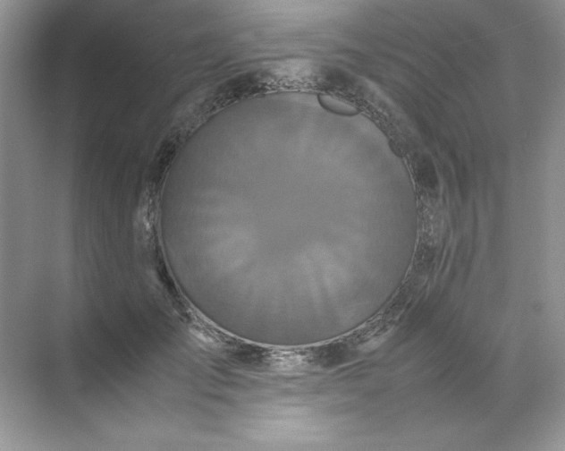 X0000070250701200606161912