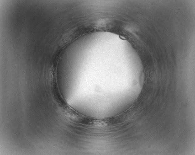 X0000070250702200606161912