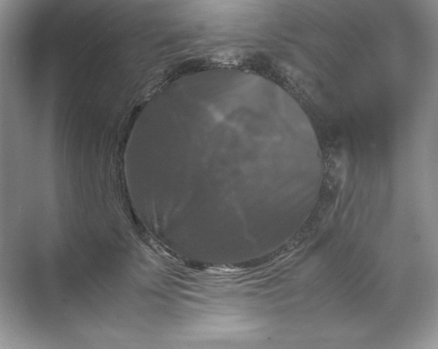 X0000070250707200606161912
