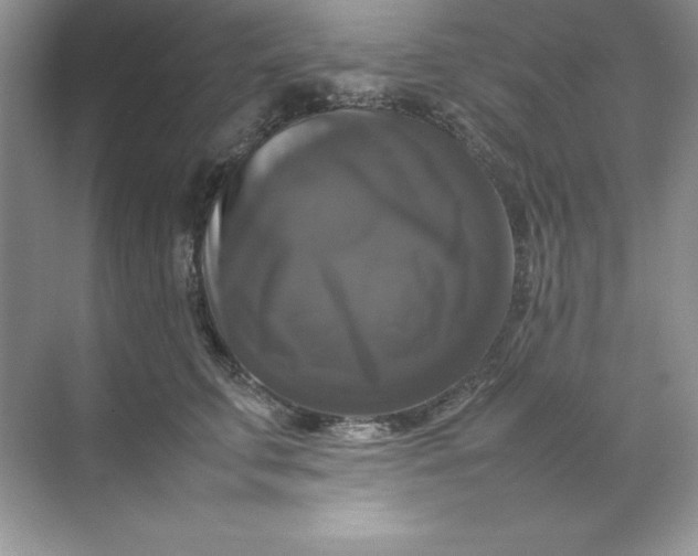 X0000070250711200606161912