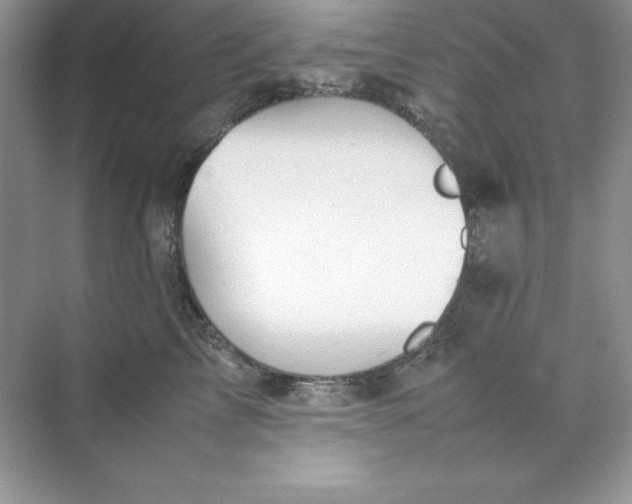 X0000070250713200606161912