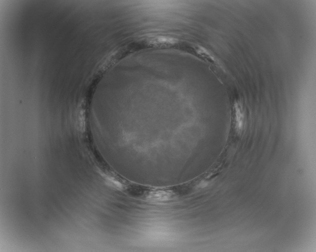 X0000070250716200606161912