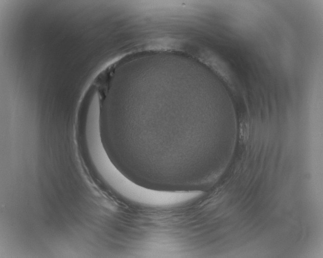 X0000070250724200606161911