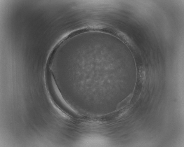 X0000070250726200606161911