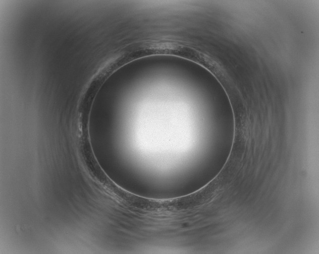 X0000070250731200606161911