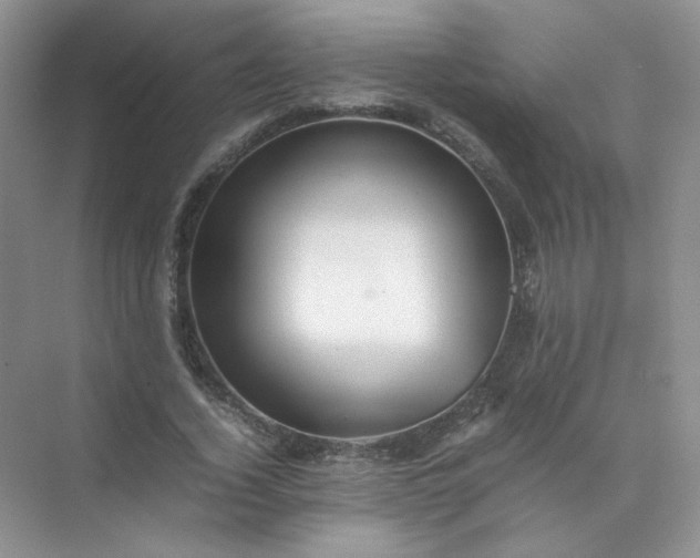 X0000070250732200606161911