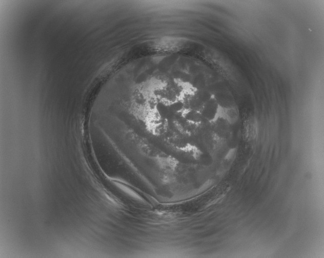 X0000070250733200606161911