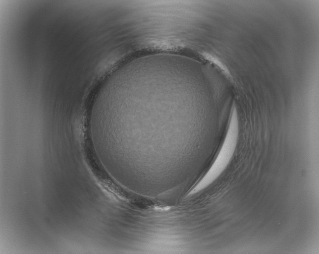 X0000070250736200606161911