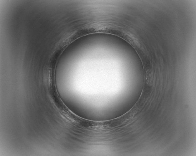 X0000070250740200606161911
