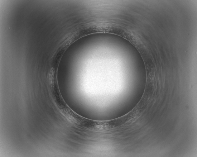 X0000070250744200606161911