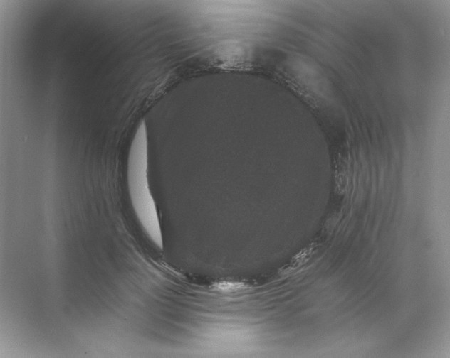 X0000070250748200606161911