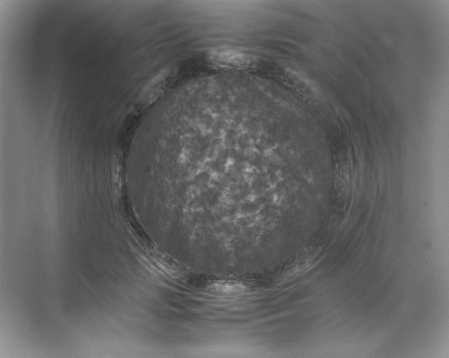 X0000070250749200606161911