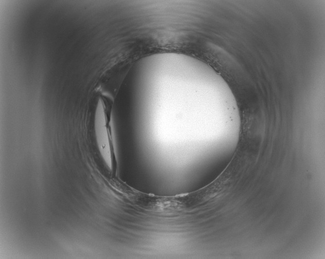 X0000070250752200606161911