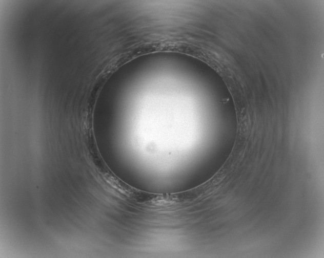 X0000070250756200606161911