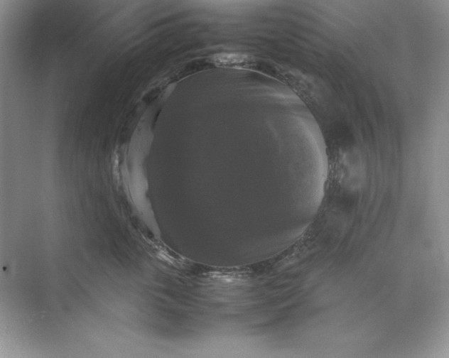 X0000070250763200606161912