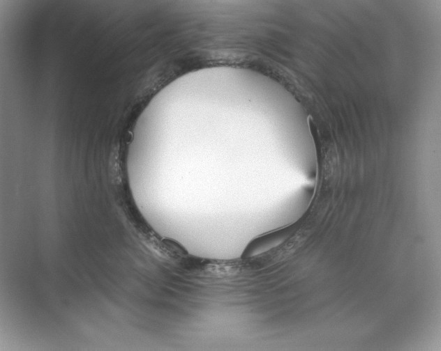 X0000070250764200606161912