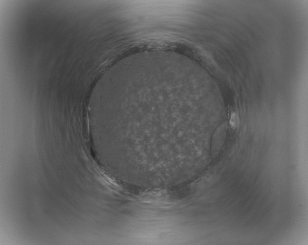 X0000070250771200606161911