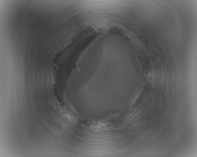X0000070250772200606161911