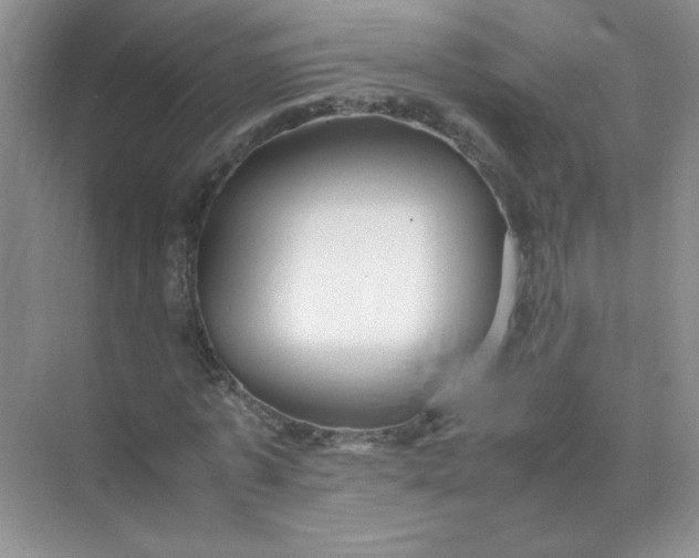 X0000070250773200606161911