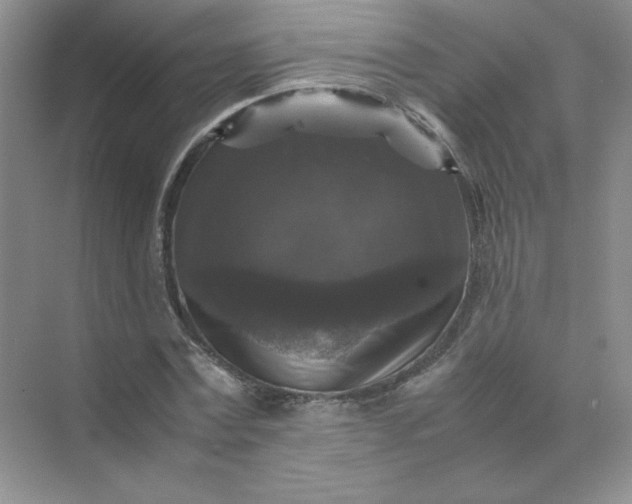 X0000070250779200606161911