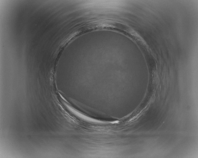 X0000070250785200606161911
