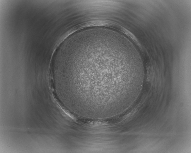 X0000070250786200606161911
