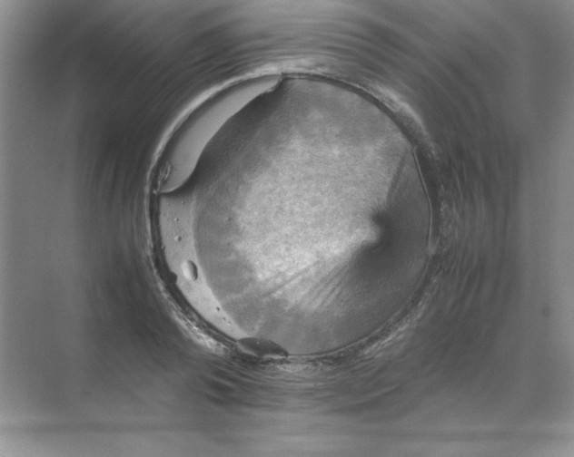 X0000070250792200606161910