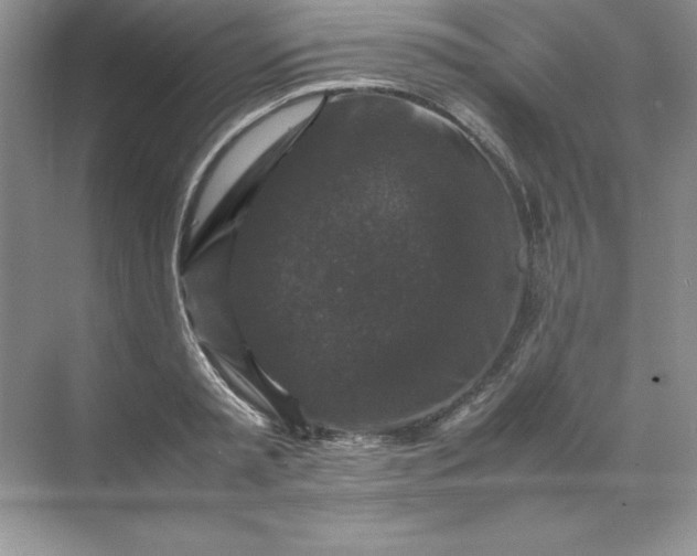X0000070250797200606161910