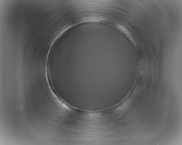 X0000070250802200606161910