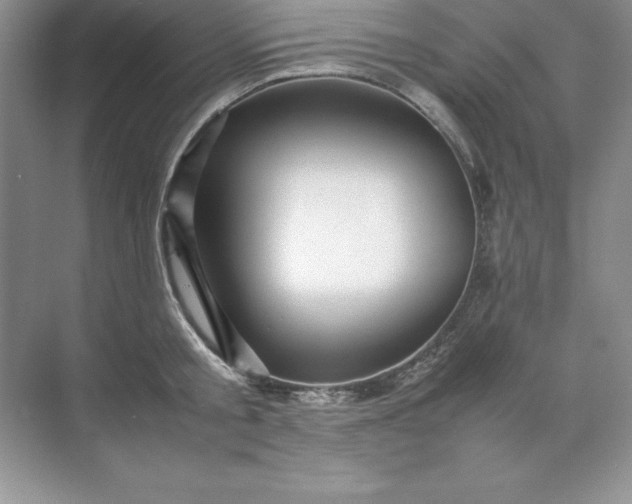 X0000070250805200606161910