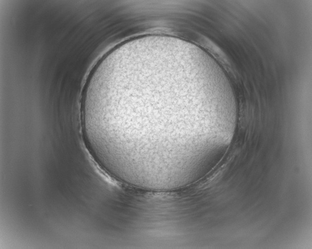 X0000070250808200606161910