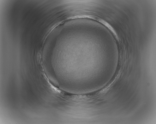 X0000070250809200606161910