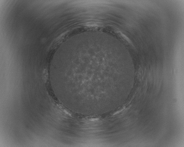 X0000070250821200606161909