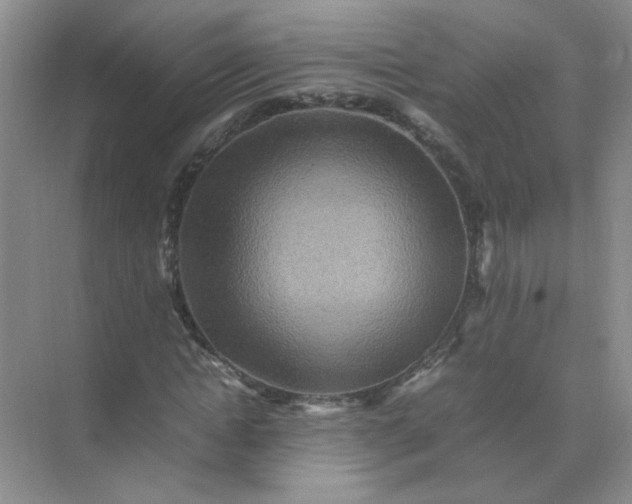 X0000070250822200606161909