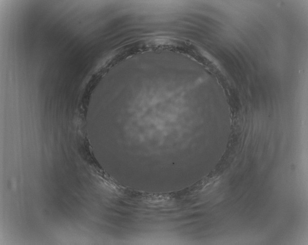 X0000070250823200606161909