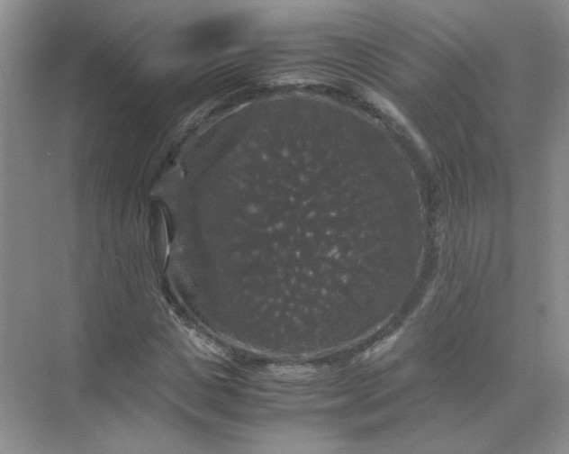 X0000070250825200606161909