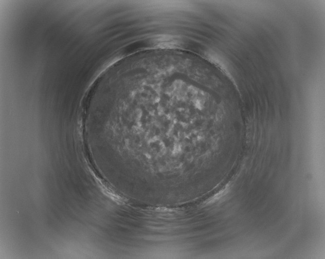 X0000070250827200606161909
