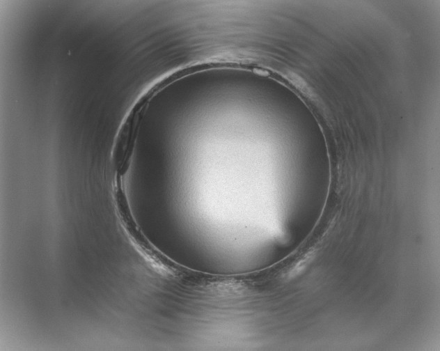 X0000070250838200606161910