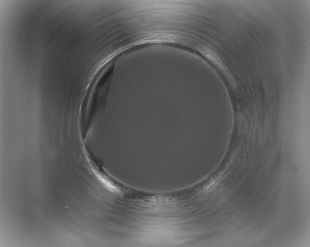 X0000070250842200606161910