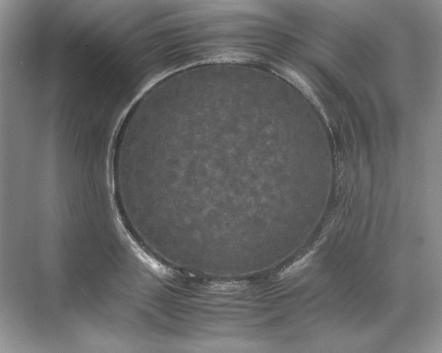 X0000070250843200606161910