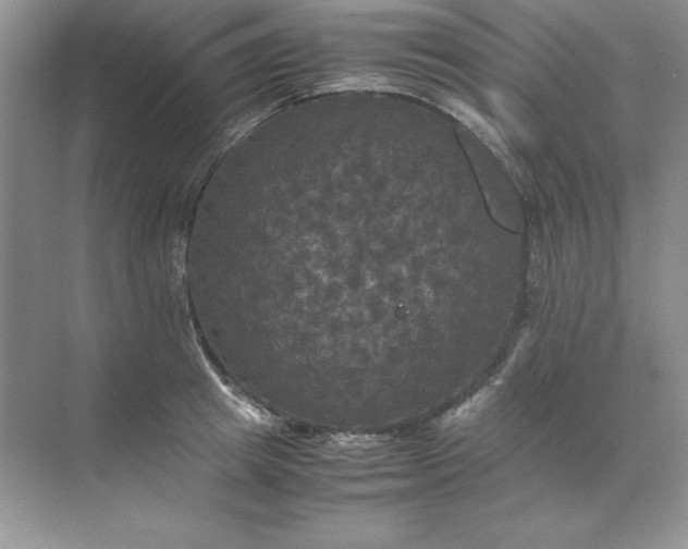 X0000070250849200606161910
