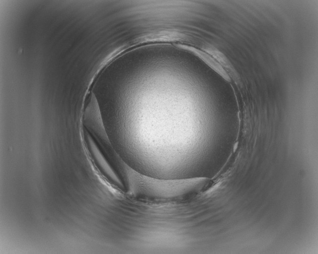 X0000070250850200606161910