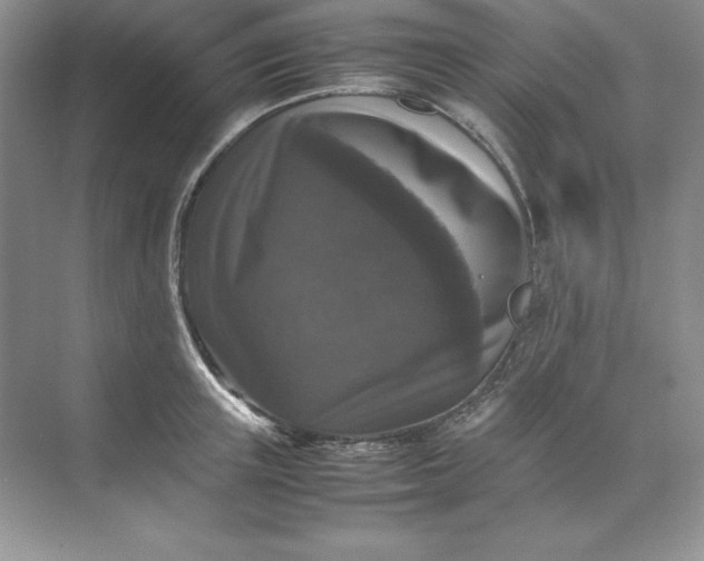 X0000070250851200606161910