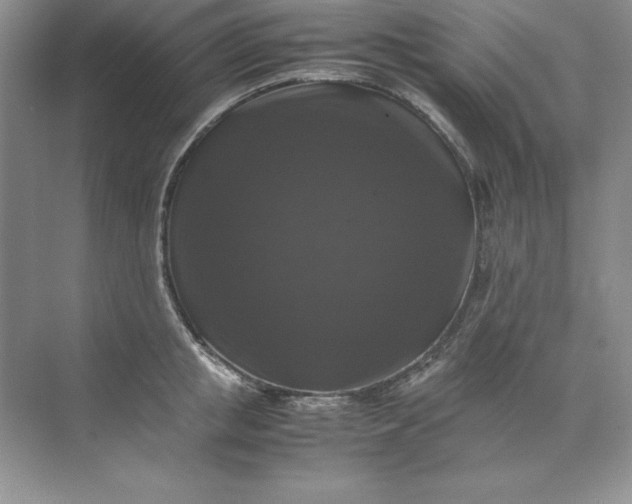 X0000070250853200606161910