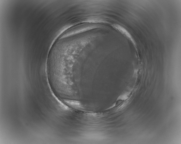 X0000070250855200606161910